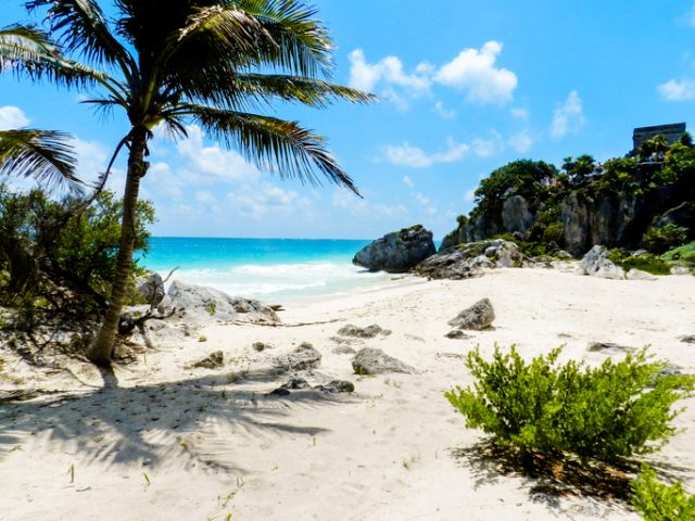 Tulum turtle breeding reserved beach, Area de Desove de la Tortuga Marina.