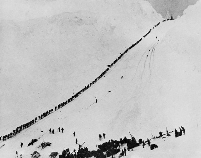 Miners and prospectors climb the Chilkoot Trail during the Klondike Gold Rush.