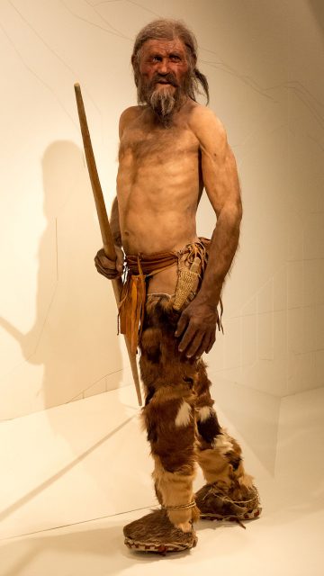 Naturalistic reconstruction of Ötzi – South Tyrol Museum of Archaeology (2011). Photo by Thilo Parg CC BY SA 3.0