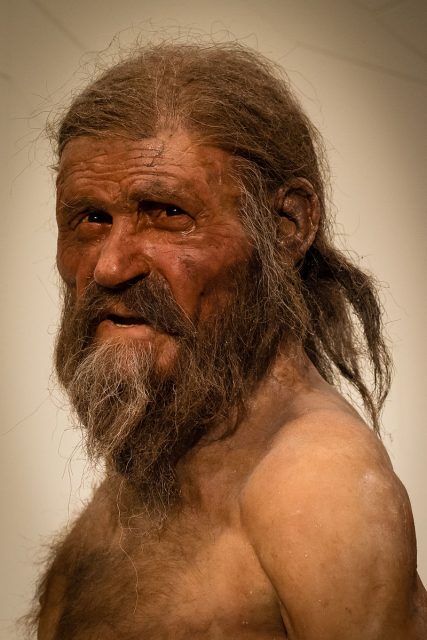 Reconstruction of Otzi the Iceman. Photo by Thilo Parg CC BY SA 3.0
