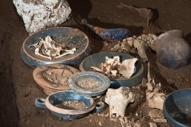 Remains of animals buried as a funeral offering. Photo by Soprintendenza Speciale di Roma