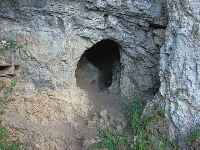 Denisova cave. Photo by Демин Алексей Барнаул CC BY-SA 4.0