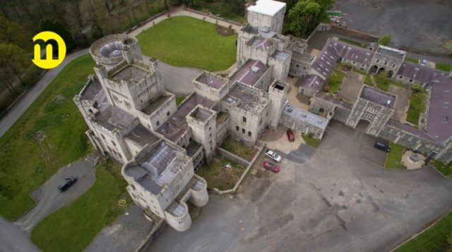 Gosford Castle is surrounded by Gosford Forest Park, which was designated the first conservation forest in Northern Ireland in 1986. Photo by Maison Real Estate