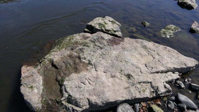 Hunger stone in Königstein in August 2018. Photo by Dr. Bernd Gross CC BY-SA 3.0 de