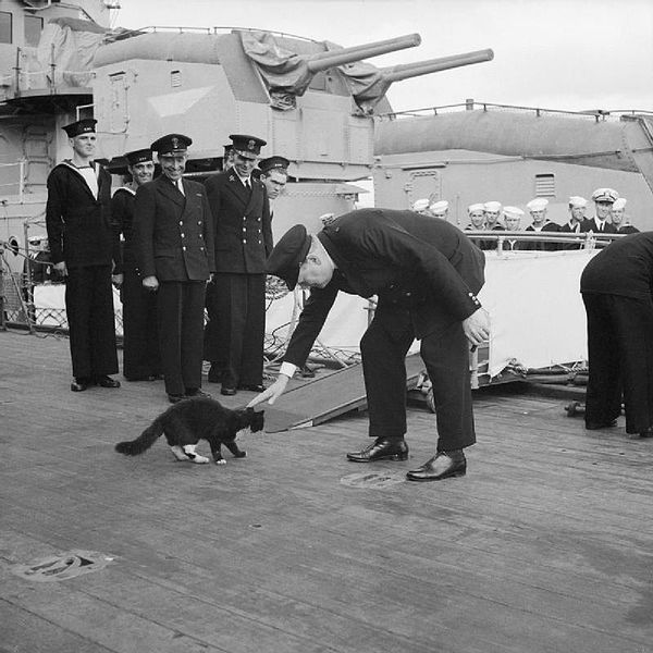 Blackie the cat and Churchill, 1941.