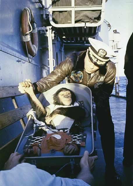 A “hand shake” welcome. After his flight on a Mercury-Redstone rocket, chimpanzee Ham is greeted by the commander of the recovery ship, USS Donner (LSD-20).
