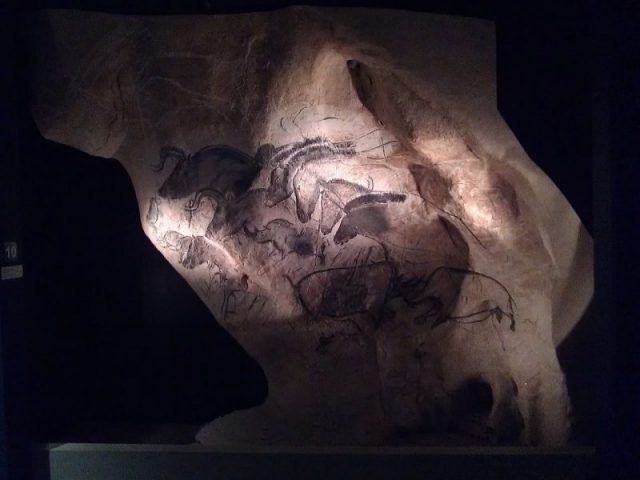 Chauvet cave. Photo by Nachosan CC BY-SA 3.0