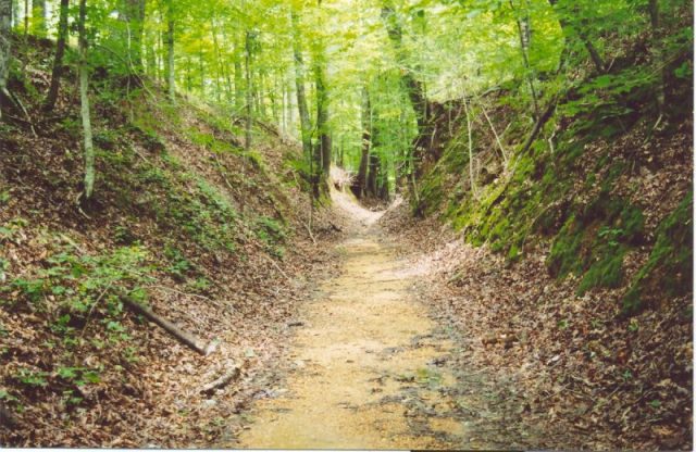 The old path of the Natchez Trace, where, between 1799 and 1803, Wiley “Little” Harpe, following the death of his brother Micajah, joined Peter Alston and the Samuel Mason Gang, committing highway robbery and murder against helpless and unsuspecting travelers, reported as crimes committed by “Mason of the Woods.”