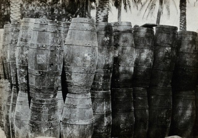 Lime juice for the treatment of scurvy, issued to soldiers on the British Front in Iraq. Photograph, 1914/1918. Photo by Wellcome  Collection CC By 4.0