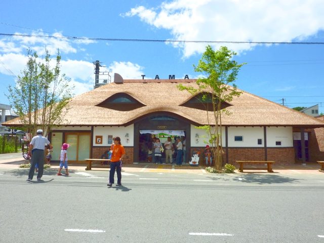 Kishi Station on the Wakayama Electric Railway Kishi Line.