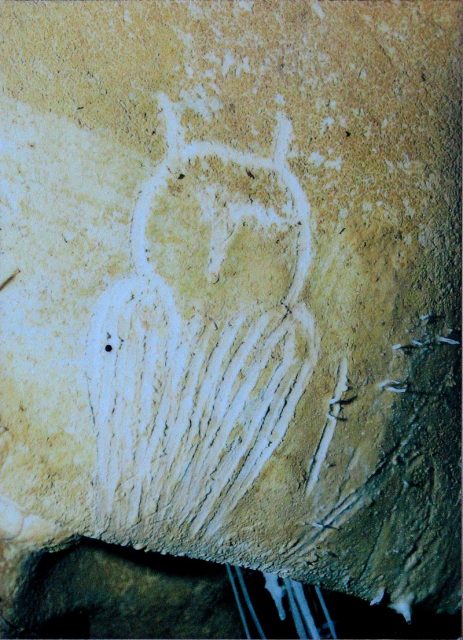 Engraving of an owl from the Chauvet cave.