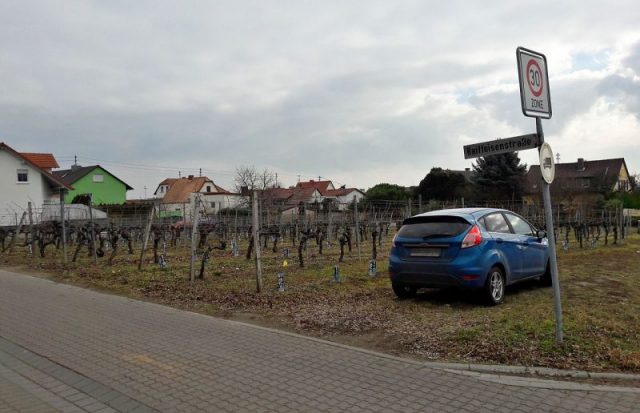 A trap street in Germany. Street named Am Kirschgarten appears on some digital maps and leads directly into a vineyard. Photo by Kreuzschnabel CC BY-SA 3.0