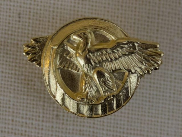 Honorable Service Lapel Button.