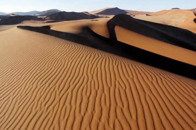 Kalahari Desert, Southern Africa.