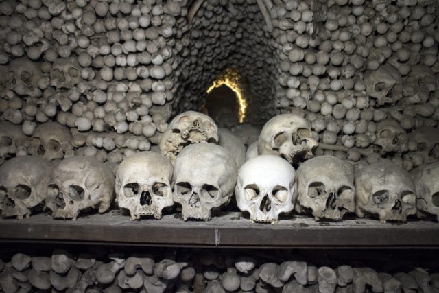 Arranged Human Skulls and Bones.