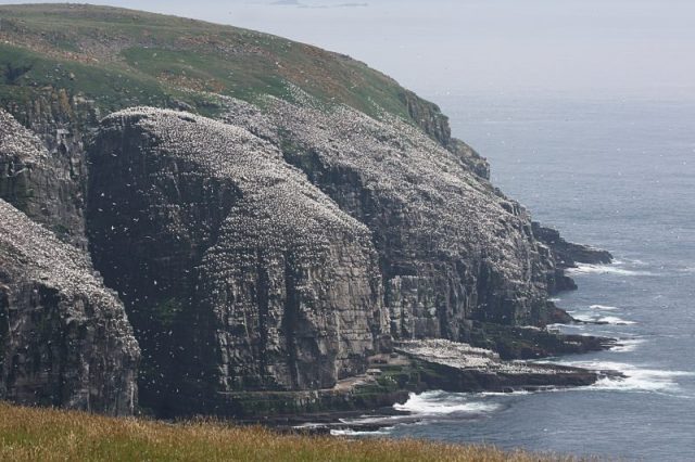 Newfoundland, Canada