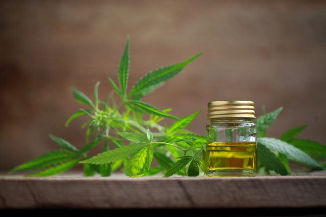 A cannabis leaf and a bottle of hemp oil.