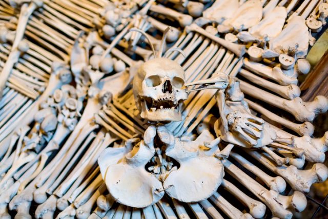 Ancient human skull and bone decoration in Sedlec, Czech Republic.