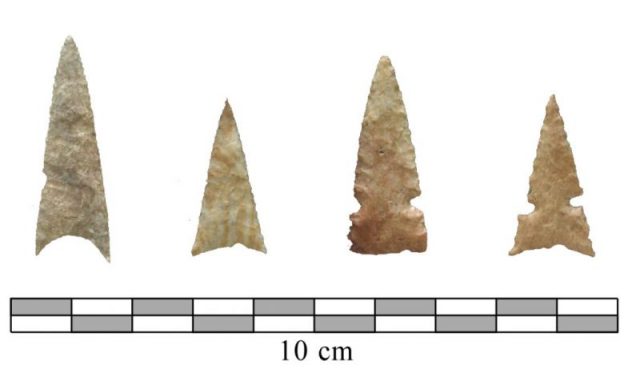 Protohistoric Wichita points found at Etzanoa. Photo by Donald Blakeslee