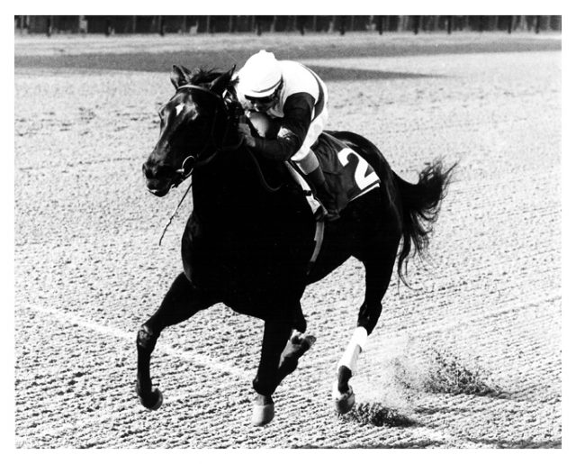 Ruffian, ridden by Jacinto Vasquez.