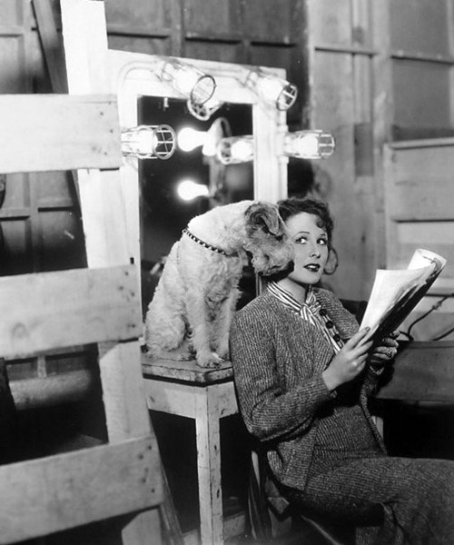 Skippy with Wendy Barrie on the set of It’s a Small World (1935).