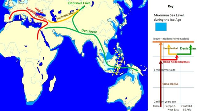 map showing the spread of Denisovans