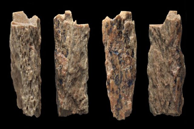 The discovered piece of bone. (Photo Credit: S. et al CC BY 4.0)
