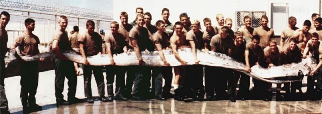 United States servicemen holding a 23 foot (7 m) giant oarfish, found washed up on the shore near San Diego, California, in September 1996.