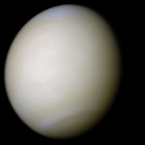 A real-color image of Venus taken by Mariner 10 processed from two filters. The surface is obscured by thick sulfuric acid clouds.