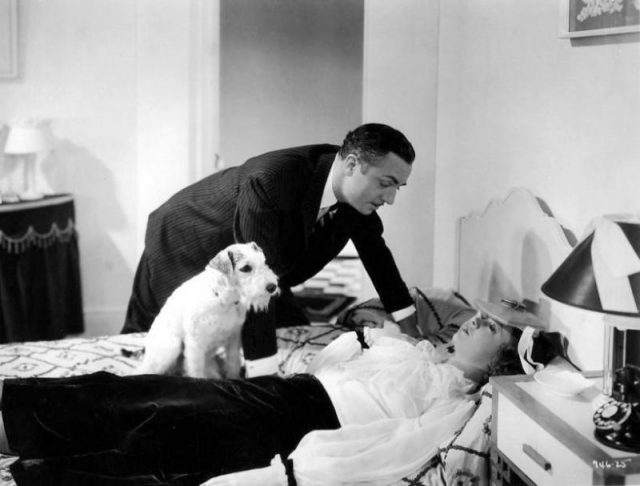 William Powell, Myrna Loy, and Skippy in The Thin Man (1934).