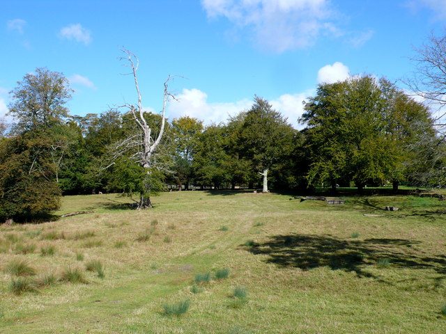 Parnham House Deer Park photo by geograph uk CC By SA 2.0