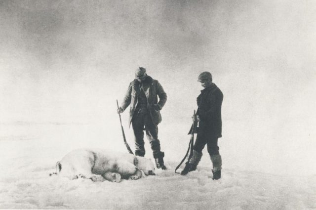 Frænkel (left) and Strindberg with the first polar bear shot by the explorers.