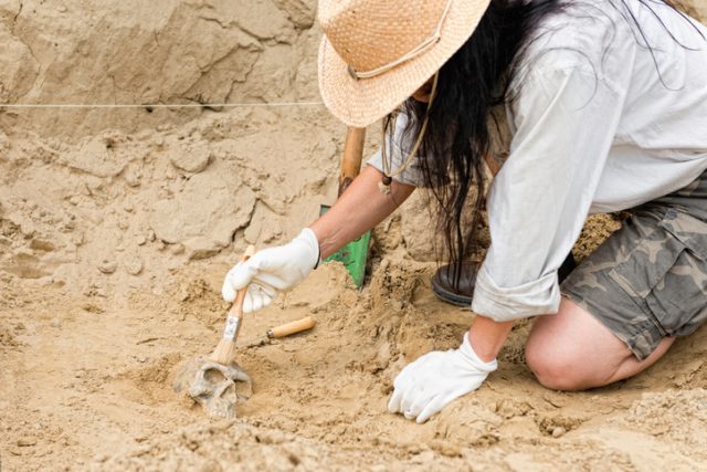 The origin of the human remains has been traced to Zhukaigou, another archaeological site to the north of Shimao.