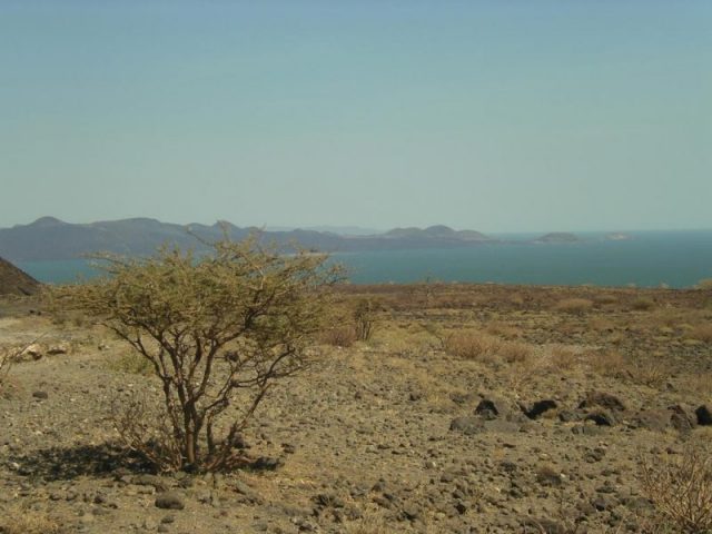 Lake Turkanain, also known as the Jade Sea, lies mainly in the Kenyan Rift Valley, northern Kenya, with its northern end extending into Ethiopia. Photo by CC BY-SA 3.0