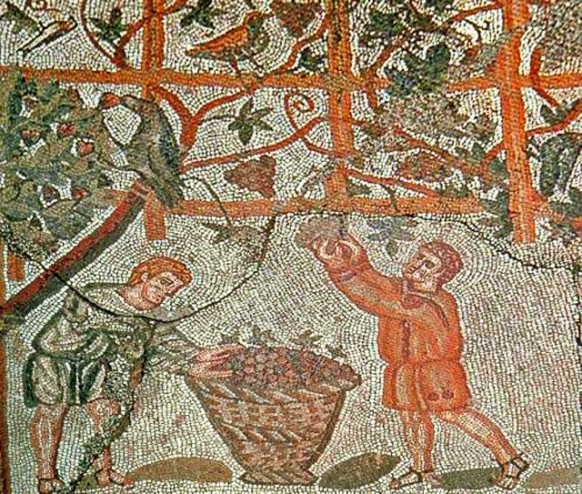 Mosaic depicting the vineyard (from Cherchell, present-day Algeria, Roman Africa)