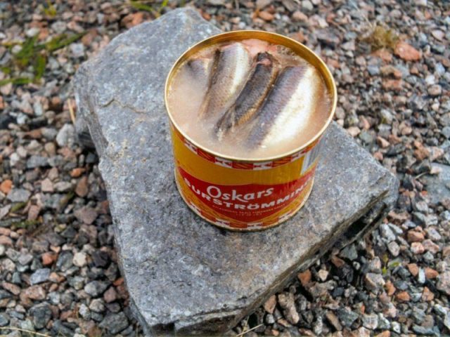 Opened can of surströmming in brine. Photo by Lapplaender CC BY-SA 3.0 de