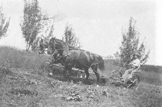 Photo by Herbert Hoover Presidential Library