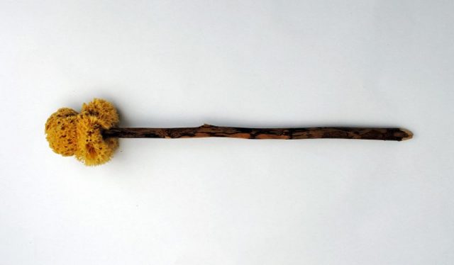 A replica xylospongium (sponge on a stick). Photo by D. Herdemerten ( Hannibal21 ) CC BY 3.0