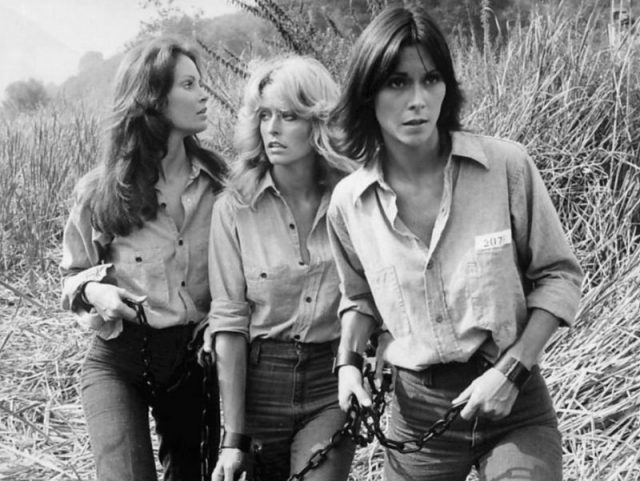 The original cast of the television series Charlie’s Angels.