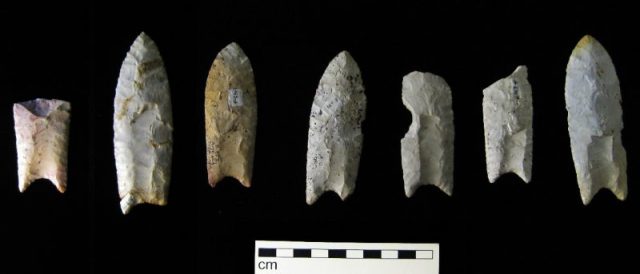 Clovis points from the Rummells-Maske Cache Site, Iowa. Photo by Billwhittaker CC BY-SA 3.0