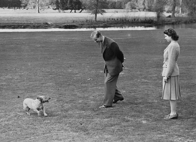 the Queen with Susan the corgi