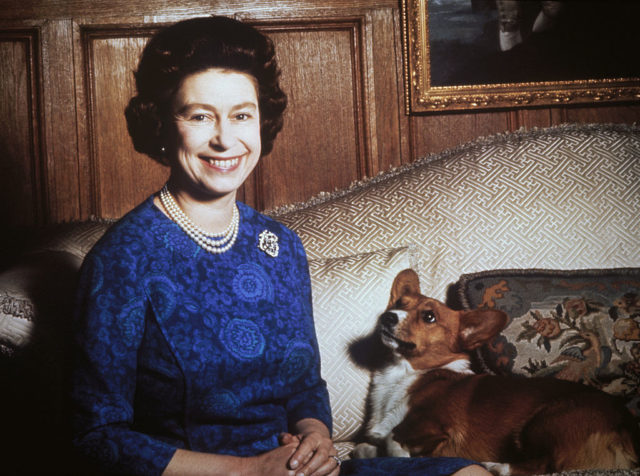 the Queen sitting with a corgi
