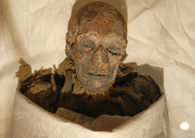 The head of a mummy.