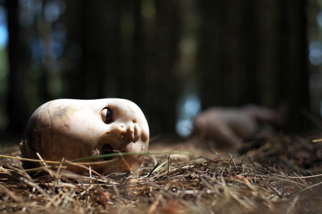 The battered & tattered remains of a toy doll in a wood