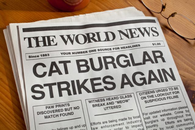 ‘Cat Burglar’ makes the front page.