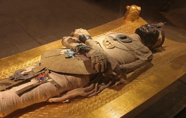 Egyptian Mummy