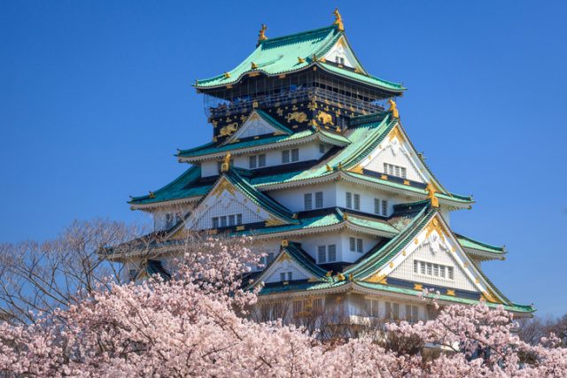 Osaka Castle, one of the most popular spots to view the cherry blossom bloom, was built in 1583.