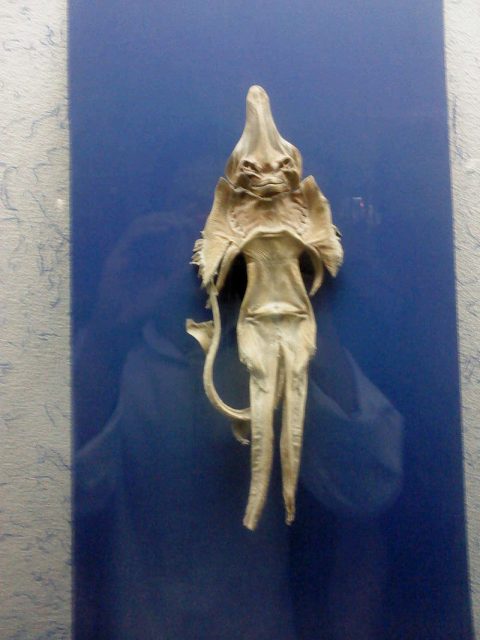 Sea devil – Mashhad museum. Photo by Lovej – CC BY-SA 3.0