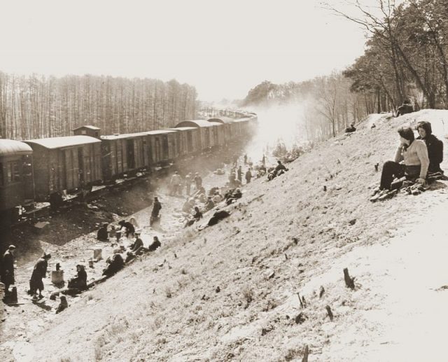 One of the trains that left Bergen-Belsen for Theresienstadt in early April, liberated by American forces.