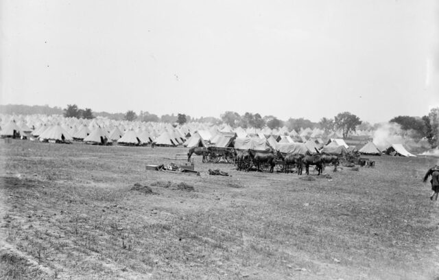Horses grazing in the grass near rows of tents